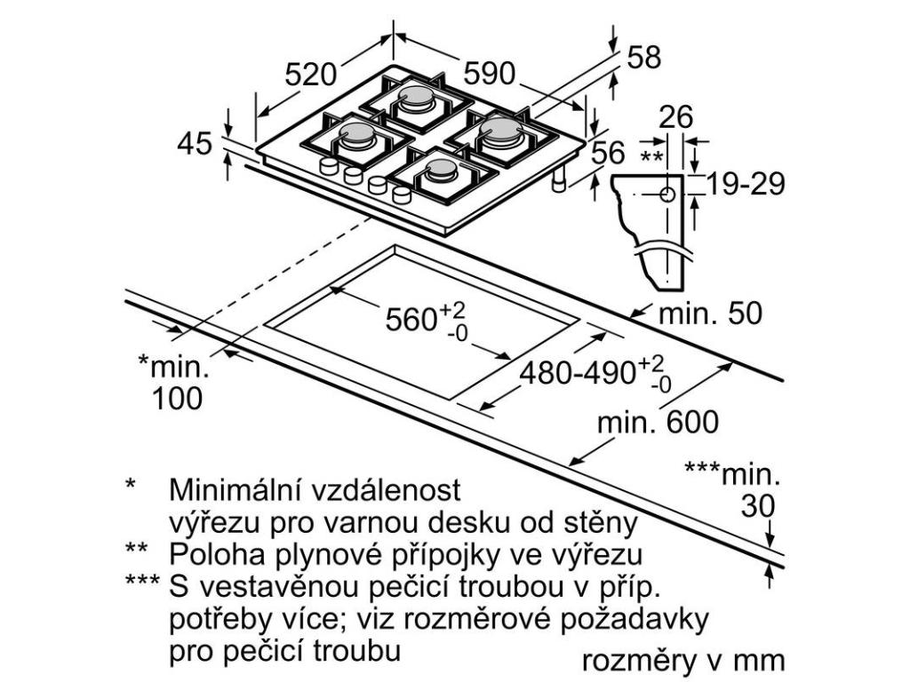4242005496303_3